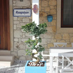 Leylak Boutique Hotel & Brasserie - Boutique Class Чешме фото 2