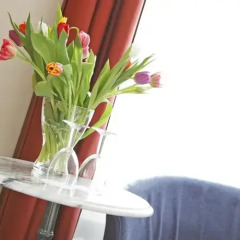 Sorell Hotel Rex в номере