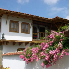 Отель Chiflik Elena Guest House Болгария, Шумен - отзывы, цены и фото номеров - забронировать отель Chiflik Elena Guest House онлайн балкон