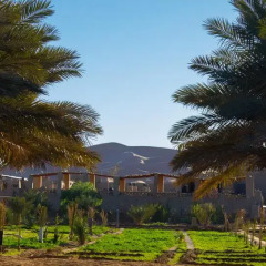 Отель Auberge Sahara Garden Марокко, Мерзуга - отзывы, цены и фото номеров - забронировать отель Auberge Sahara Garden онлайн фото 3
