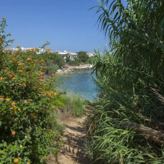 Отель Beachfront villa Del Mare Кипр, Протарас - отзывы, цены и фото номеров - забронировать отель Beachfront villa Del Mare онлайн приотельная территория