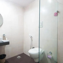 Hotel Apra International 3* Номер Делюкс с различными типами кроватей фото 10