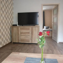 Отель Apartamenty VNS Польша, Гданьск - 1 отзыв об отеле, цены и фото номеров - забронировать отель Apartamenty VNS онлайн комната для гостей