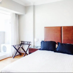Отель Exclusivo Departamento En Park Plaza Recoleta комната для гостей фото 2