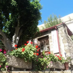Отель Minos Pension