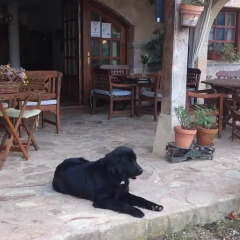 Отель Posada de Trapa с домашними животными