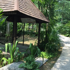 Отель Siloso Beach Resort, Sentosa фото 10