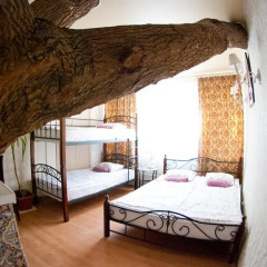 My Hostel Rooms Стандартный номер с различными типами кроватей фото 6