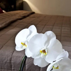 Hotel Zhong Hua спа