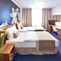 Vista Hotel 4* Стандартный номер фото 6
