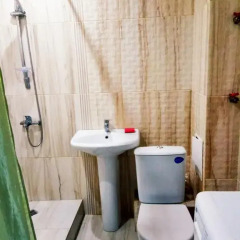 Гостиница Nsk Flat Apartments Красный Проспект в Новосибирске отзывы, цены и фото номеров - забронировать гостиницу Nsk Flat Apartments Красный Проспект онлайн Новосибирск ванная