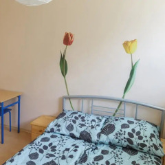 Hostel Universus i Apartament Стандартный номер с разными типами кроватей фото 10