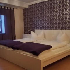 Hotel & Hostel Hallbergerhof Апартаменты с различными типами кроватей