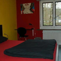 Budget Hostel Zurich Стандартный номер с различными типами кроватей фото 3