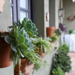 Отель B&B La Fonda Barranco-NEW Испания, Херес-де-ла-Фронтера - отзывы, цены и фото номеров - забронировать отель B&B La Fonda Barranco-NEW онлайн помещение для мероприятий
