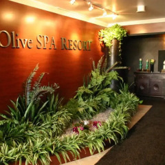 Отель Guam Reef США, Тамунинг - отзывы, цены и фото номеров - забронировать отель Guam Reef онлайн спа