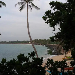 Cool Beach Hotel фото 3