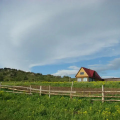 Гостиница Guest House U Rodnika в Змеиногорске отзывы, цены и фото номеров - забронировать гостиницу Guest House U Rodnika онлайн Змеиногорск приотельная территория фото 2