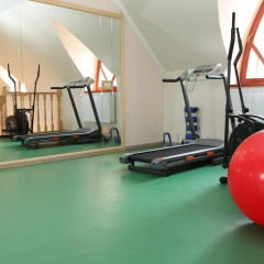 Publo Spa Hotel фитнесс-зал