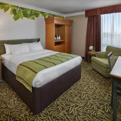 Varscona Hotel on Whyte 3* Стандартный номер с различными типами кроватей фото 5