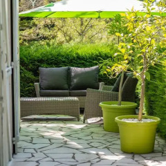 Отель Bed & Breakfast Les Orchidées à Saumur Сомюр фото 10