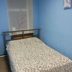 Light Dream Hostel Улучшенный номер с различными типами кроватей фото 2