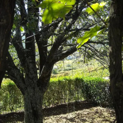 Отель Quinta das Aranhas Кастело-де-Пайва фото 12