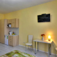 Гостиница Fire Inn 3* Студия с различными типами кроватей фото 5
