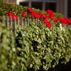 Отель The Chesterfield Mayfair фото 3