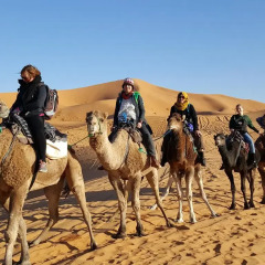 Отель Riad Ouzine Merzouga Марокко, Мерзуга - отзывы, цены и фото номеров - забронировать отель Riad Ouzine Merzouga онлайн спортивное сооружение