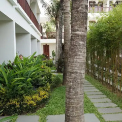 Отель Vinh Hung Emerald Resort 3* Номер Делюкс с различными типами кроватей фото 8