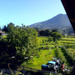 Отель Oberschoeberlehof Меран фото 4