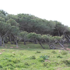 Отель Terra da Eira фото 3