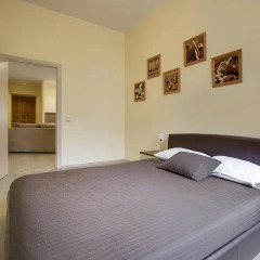 Апартаменты Center City Apartments Люкс с различными типами кроватей фото 2