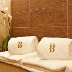 Best Western Plus Bristol Hotel 4* Номер Комфорт с различными типами кроватей