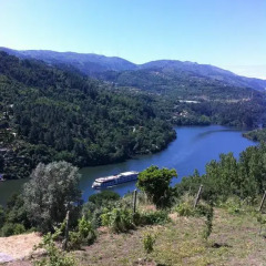 Отель Pedacinho de Mundo Douro фото 4