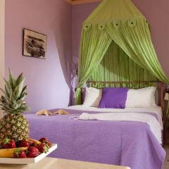 Socrates Hotel 3* Улучшенная студия с различными типами кроватей фото 3