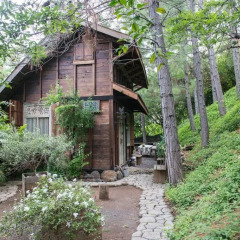 Отель Chalet de tahiti развлечения