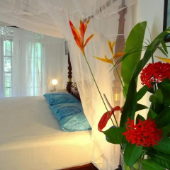 Отель French Lotus Unawatuna Guest House Унаватуна комната для гостей фото 2