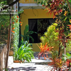Отель Casa Doña Elena B&B Гондурас, Копан-Руинас - отзывы, цены и фото номеров - забронировать отель Casa Doña Elena B&B онлайн фото 4