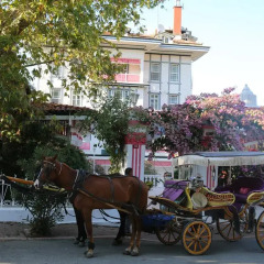 Merit Halki Palace Hotel Турция, Хейбелиада - отзывы, цены и фото номеров - забронировать отель Merit Halki Palace Hotel онлайн городской автобус