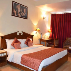 Grand Sartaj Hotel 3* Номер Делюкс с различными типами кроватей