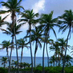 Отель Stella Maris Resort Club 3* Коттедж с различными типами кроватей фото 19