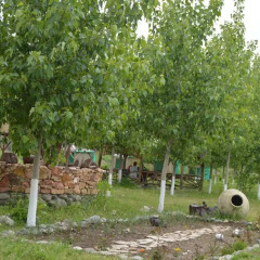 Отель Crossway Camping Армения, Ехегнадзор - отзывы, цены и фото номеров - забронировать отель Crossway Camping онлайн фото 6