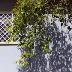 Отель B & B La Sirenetta