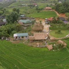 Отель Golden Rice Garden Sapa Шапа