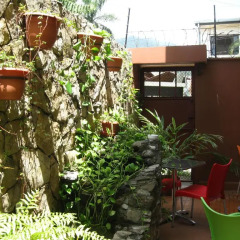 Отель Guacamaya Inn B&B Сан-Педро-Сула