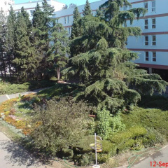 Отель Holiday Complex Sunny Beach - Ministerial Council Болгария, Солнечный берег - отзывы, цены и фото номеров - забронировать отель Holiday Complex Sunny Beach - Ministerial Council онлайн фото 5