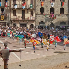 Отель Corso Italia 314 Ареццо развлечения