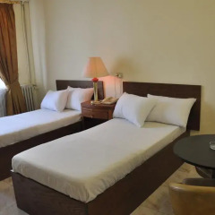 New Park Hotel 2* Стандартный номер с двуспальной кроватью фото 4